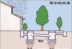 初期雨水收集为什么这么重要？